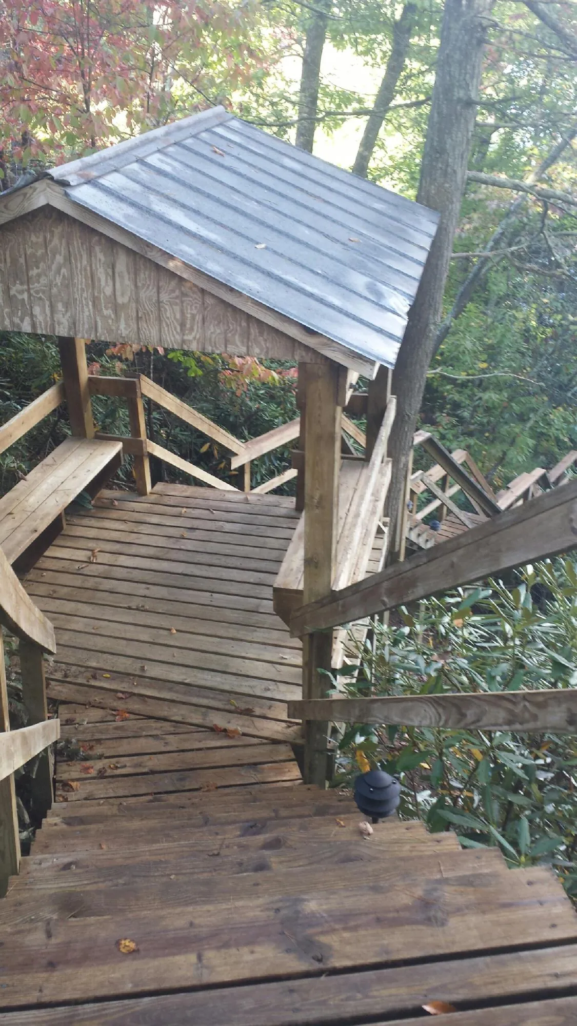 Metal roofed shelter over wooden steps on a wooded walkway — Skylight Repair & Installation work by our crew in Mt Baldy